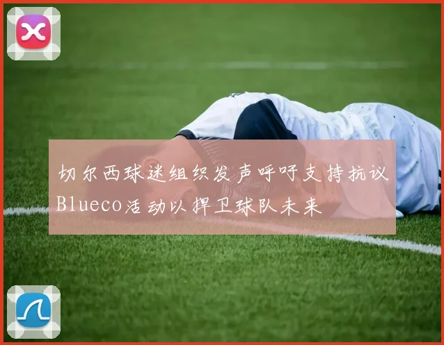 切尔西球迷组织发声呼吁支持抗议Blueco活动以捍卫球队未来